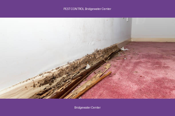PEST CONTROL Bridgewater Center